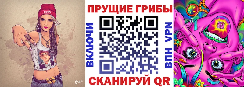 сайты даркнета какой сайт  продажа наркотиков  Голицыно  Галлюциногенные грибы мицелий 